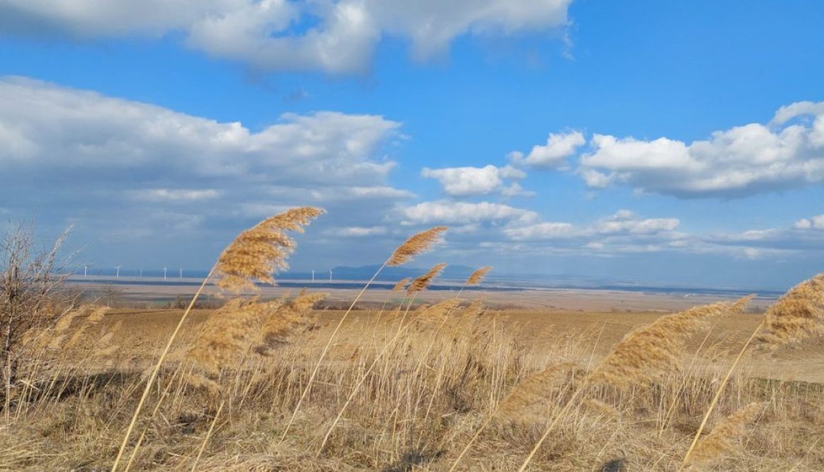 Deliblatska peščara