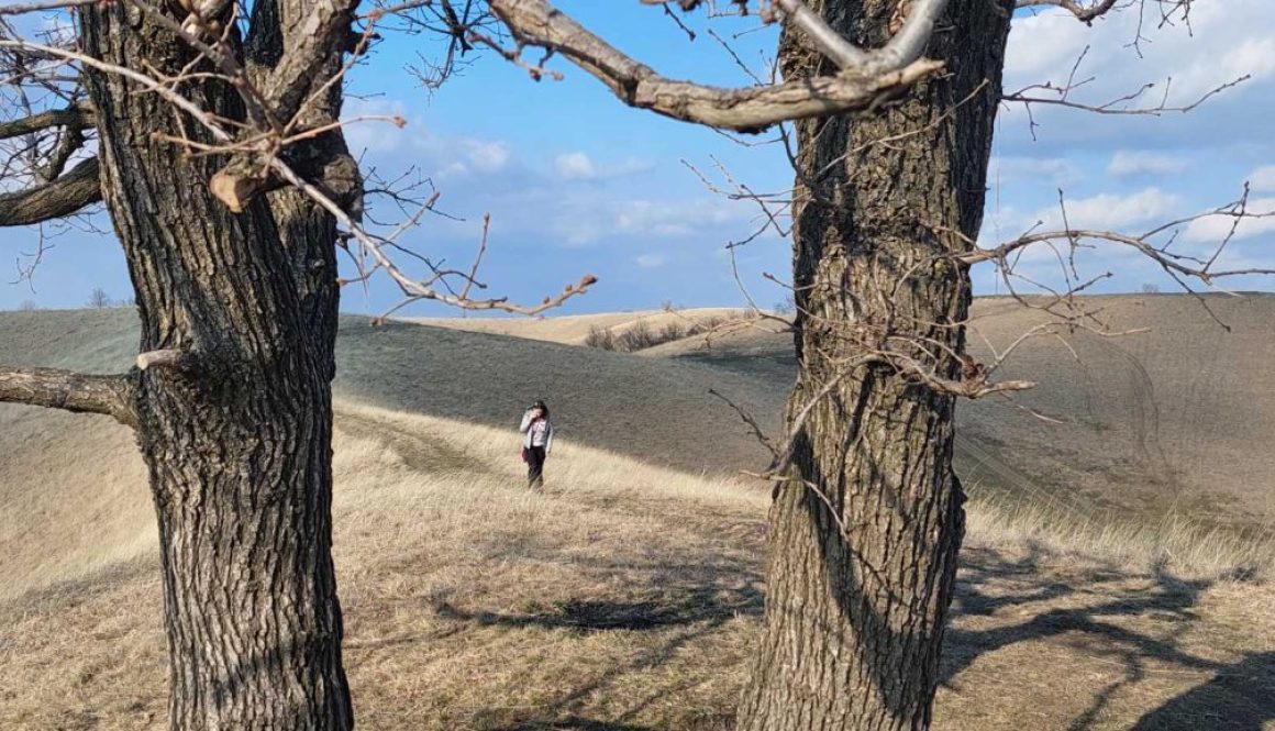 Deliblatska peščara